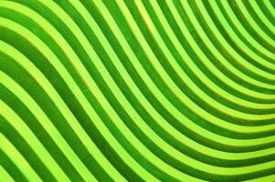 Bright green curved wooden slats. Abstract background. Decorative design for finishing facades and interiors. photo