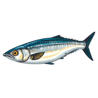 caballa pescado en un transparente antecedentes png