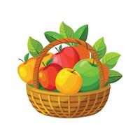 un variedad de frutas ilustración vector