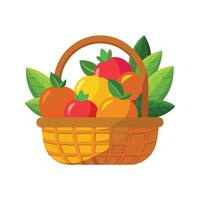 un variedad de frutas ilustración vector