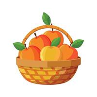 A variety of fruits illustration vector