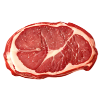 crudo carne de vaca filete en un transparente antecedentes png