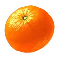 Orange fruit, Orange transparent Contexte png