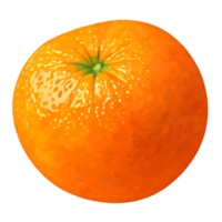 design de logotipo de frutas laranja png