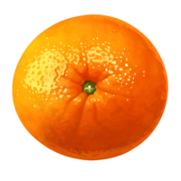 orange fruit cartoon design png