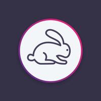 rabbit icon, linear pictogram, illustration vector