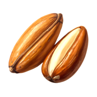 nuts on a transparent background png