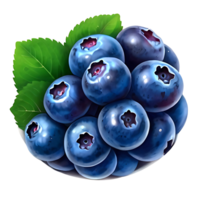 blueberries logo design png