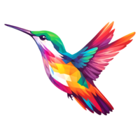 colorful hummingbird flying on transparent background png