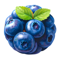 blueberry fruit sticker design png