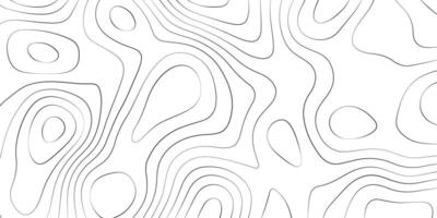 Topographic map seamless pattern. Abstract topography background. Abstract topographic background. Black and white background. vector