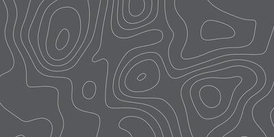 abstract pattern with lines. background of the topographic map. elevation contouring outline cartography texture. geographic abstract grid. futuristic wireframe lands. black and white seamless pattern vector