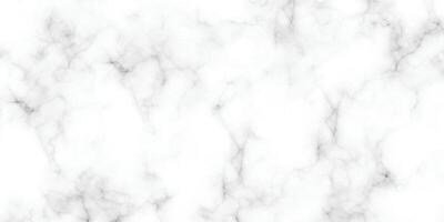 marble granite white panorama background. abstract light elegant black do floor, ceramic texture stone slab. marble texture background with high resolution. vector