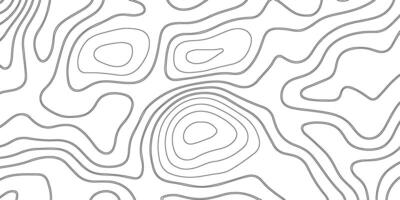 Abstract seamless pattern with lines. Background of the topographic map. vector