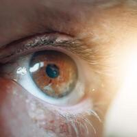 man eye looking at camera, brown eye photo