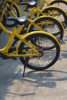 Part of yellow bicycles parked on cobblestone pavement in vertical frame photo