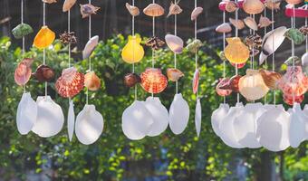 Row of colorful seashell mobile hanging in home gardening area photo