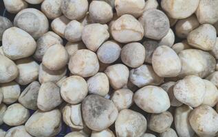 Pile of many straw mushrooms background for sale in local market, top view and full frame photo