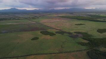 vuelo terminado el verde campos en contra el fondo de un suavemente rosa-violeta puesta de sol con el dominicano república montañas en el antecedentes. amable zona tropical video