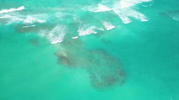 abstrato fundo exibindo a aéreo Visão do vibrante ótimo barreira recife com colorida coral e turquesa oceano, aceso de atlântico do oceano brilho. azul gradiente perto punta cana, dr dentro fluido arte estilo. video