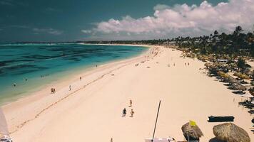 cênico tropical recorrer aninhado em paraíso ilha, apresentando deslumbrante caribe com palmeiras de praia com imaculado branco areia. hotel senta em margens do caribe mar, dominicano república video