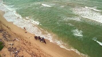 antenne perspectief van toeristen te paard rijden langs de kust van uvero alt in de dominicaans republiek video