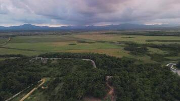 vuelo terminado el verde campos en contra el fondo de un suavemente rosado morado puesta de sol detrás el montañas de el dominicano república. amable zona tropical video