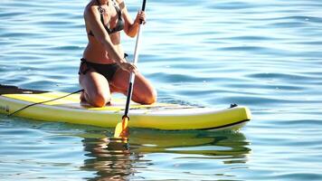 mare donna sup. silhouette di contento positivo giovane donna nel bikini, fare surf su cenare asse, fiducioso paddling attraverso acqua superficie. idilliaco tramonto. attivo stile di vita a mare o fiume. lento movimento. video