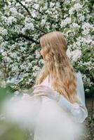 A blonde girl with long hair on a walk in a spring park. Springtime and blooming apple trees. photo