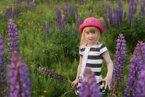A blonde girl in a field with purple flowers. A little girl in a pink hat is picking flowers in a field. A field with lupines photo