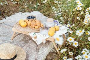 picnic en el manzanilla campo. un grande campo de floración margaritas el concepto de al aire libre recreación. foto