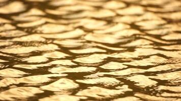 Sol refletindo em espumante mar lago água superfície, oceano às pôr do sol, nascer do sol. raios solares tremeluzente dentro ondulações em água superfície. dourado cintilante mar ondas dentro Sol. lento movimento. abstrato náutico natureza video