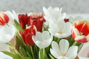 Spring Inspiration. Tulip Bouquet in Honor of International Women's Day photo