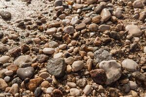 Pebbles on the seashore, close-up. Natural background. photo