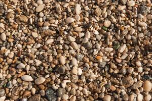 Pebbles on the seashore, close-up. Natural background. photo