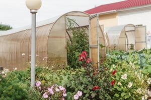 Large greenhouses for growing homemade vegetables. The concept of gardening and life in the country. photo