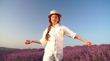 donna nel lavanda campo - contento signora nel cappello mangiare albicocca su soleggiato giorno, vagare nel lavanda campo, apprezzando natura. ragazza camminare in mezzo lavanda fiori, vasto campo durante tramonto video