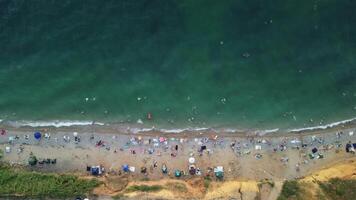 aereo Visualizza di sabbioso spiaggia, nuoto persone nel mare baia con trasparente blu acqua a tramonto nel estate. contento persone folla rilassante su spiaggia. vacanza ricreazione oceano natura concetto. verticale video