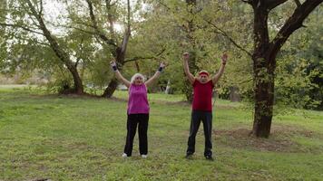 Active senior couple doing morning stretching physical exercises in park. Fitness family leisure video