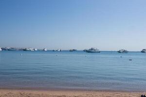 Beach Relaxation at the Red Sea. Fairy-tale Moments of a Sunny Day. The concept of tourism and sea travel photo