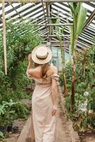 A beautiful young woman takes care of plants in a greenhouse. The view from the back. Concept of gardening and an eco-friendly lifestyle. photo