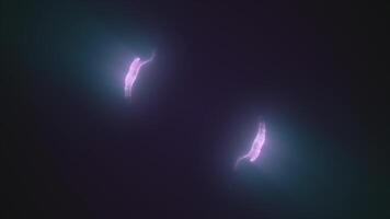 Set of moving swirling looped circles frames of blue green yellow and purple multicolored lines of energy particles. Abstract background video
