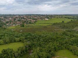 Small Swamp in Itaja photo