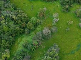 poder transmisión líneas en natural ambiente foto