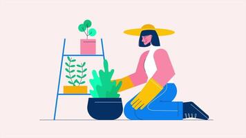 2d cartoon animation featuring a female gardener tending to houseplants HD video