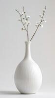 Minimalist White Vase with Branches photo