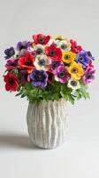Colorful Anemones In Ceramic Vase photo