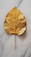 Golden Leaf on Marble Surface photo