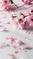 Scattered Cherry Blossoms On White photo