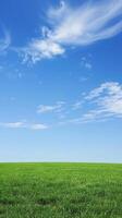 Vivid Blue Sky and Green Field photo